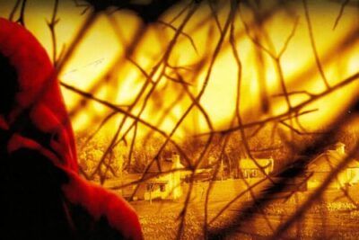 El bosque, un thriller de misterio y tensión
