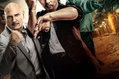 Master Z: El Legado de Ip Man y su trama principal