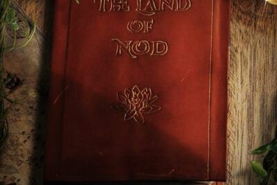 NOD - Trama y reparto revelados aquí