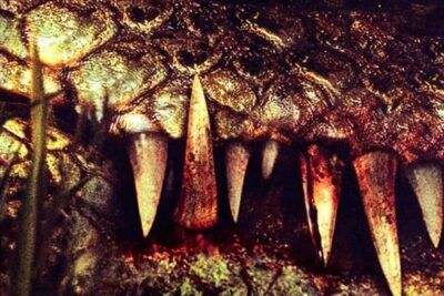 Cocodrilo, un asesino en serie - Sinopsis y detalles