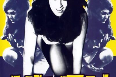 Vixen! - Sinopsis y análisis de la trama de 1968