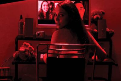 Megan Is Missing - Información y detalles clave