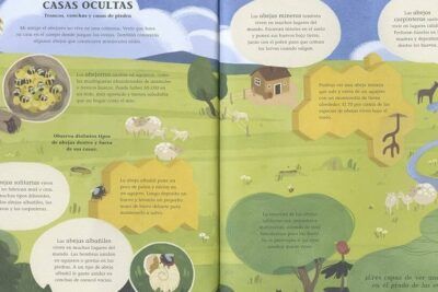 La vida secreta de las abejas (2008) - Descubre la trama