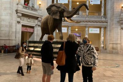 Una noche en el museo 2: La batalla del Smithsonian - Trama y detalles