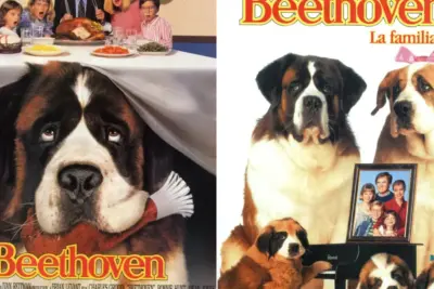 Beethoven uno más de la familia: trama de la película de 1992