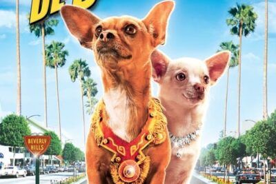 Un chihuahua en Beverly Hills y su divertida trama
