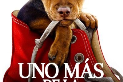 Uno más de la familia y su conmovedora trama
