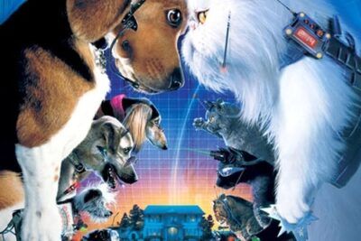 Como perros y gatos - Sinopsis y trama explicada