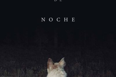 Llega de noche y su intrigante trama post-apocalíptica