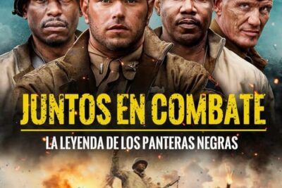 Juntos en combate - Sinopsis y análisis detallado