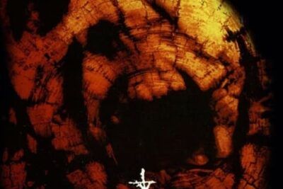 El libro de las sombras (BW2) - Sinopsis y más