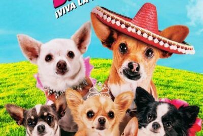 Un chihuahua en Beverly Hills 3: ¡Que viva la fiesta!