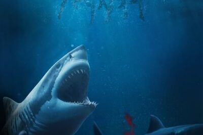 Something in the Water - Trama y detalles clave