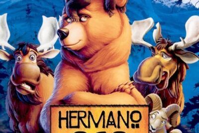 Hermano oso - Información y detalles clave