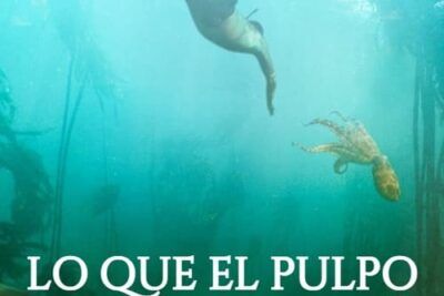 Lo que el pulpo me enseñó, un emocionante documental