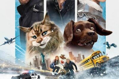 Perro y gata, una aventura animada divertida