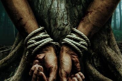 Bark - Detalles y trama de la película 2023