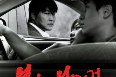Sympathy for Mr. Vengeance - Información y análisis